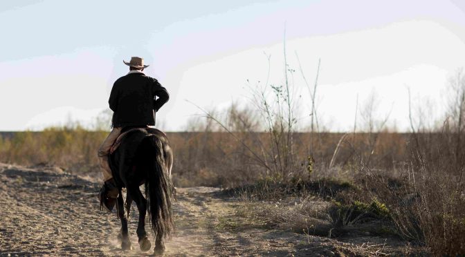 Venture Beyond the Horizon Discover Prime Hunting Locations in West Texas